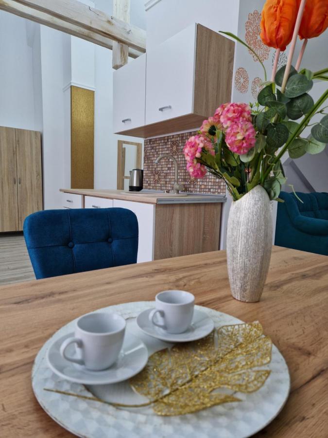 Appartement Ori Orange Malul Muresului Arad